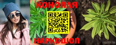 дживик Берёзовский